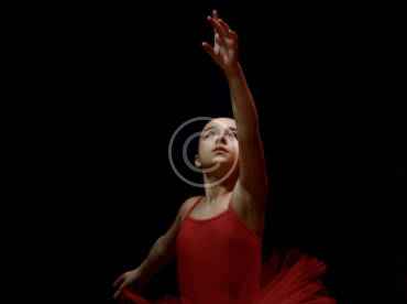 Sonic dreamscape: an evening of electronic ecstasy